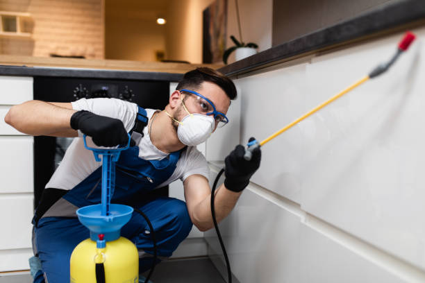 Best Insect Control  in Somonauk, IL
