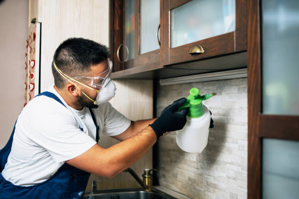 Best Pest Removal Services  in Somonauk, IL