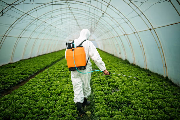 Best Pest Inspection Near Me  in Somonauk, IL