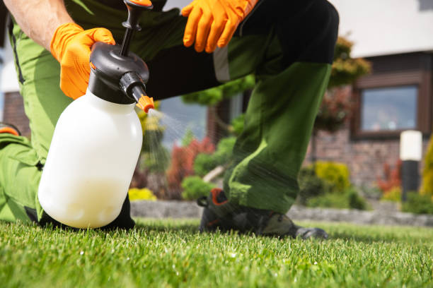 Best Rat Extermination Near Me  in Somonauk, IL