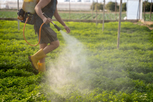 Best Pest Control Near Me in Somonauk, IL
