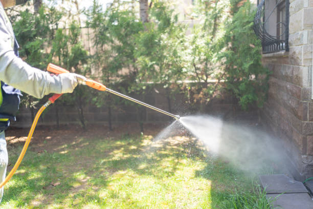 Best Termite Control Services  in Somonauk, IL