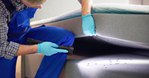 Best Commercial Pest Control Services  in Somonauk, IL