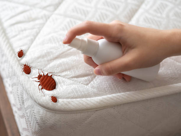 Best Local Pest Control Services  in Somonauk, IL